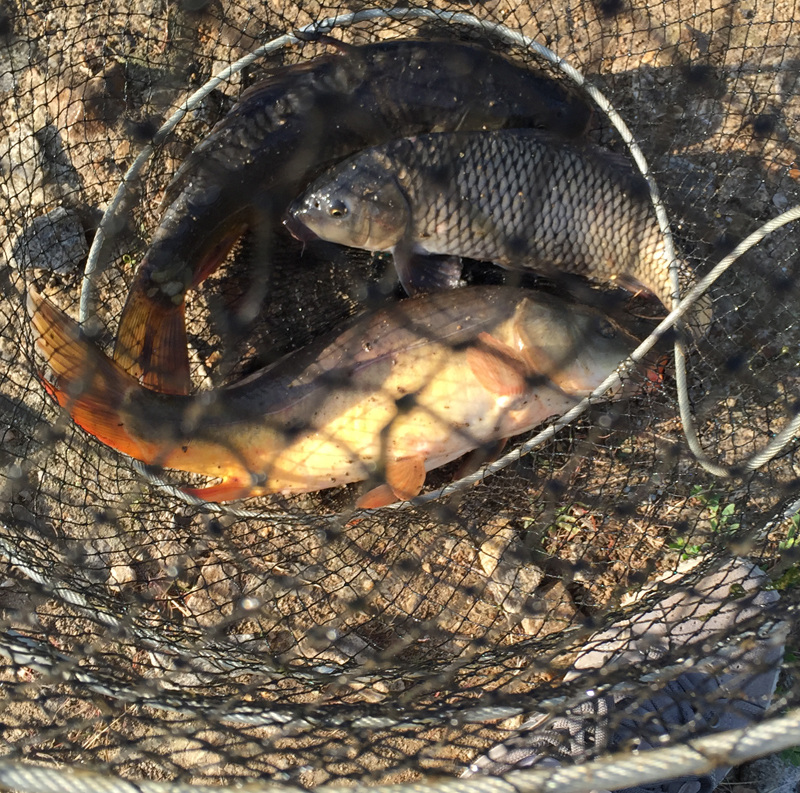 길상낚시터 나홀로 출조