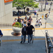 불꽃야구 두번째 직관