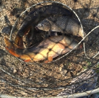 길상낚시터 나홀로 출조